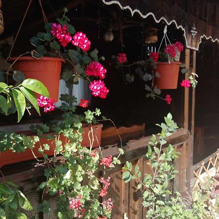 Casa Agroturistica Teodora Vila Mînăstirea Humorului Exterior foto